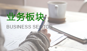 业务板块