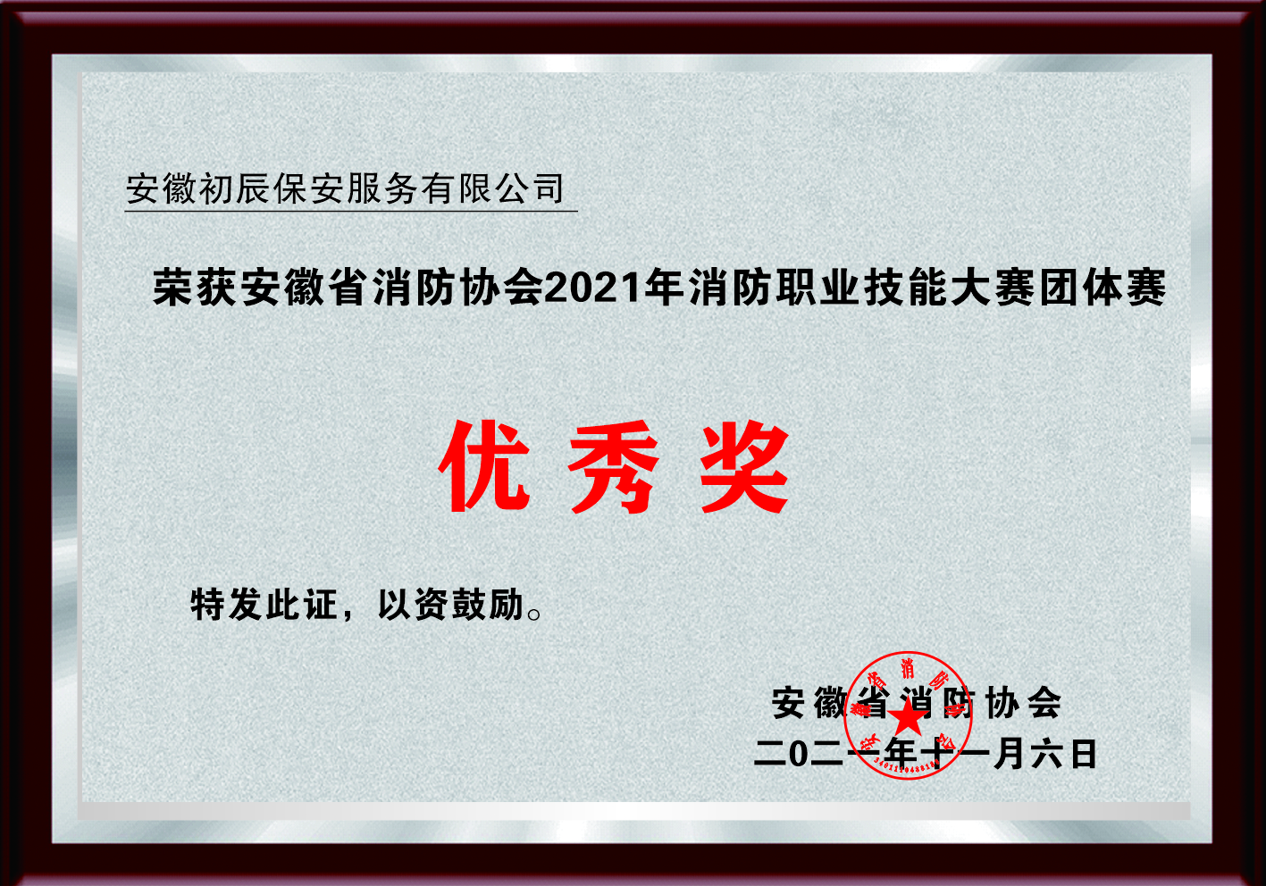 安徽省消防协会职业技能大赛团体优秀奖
